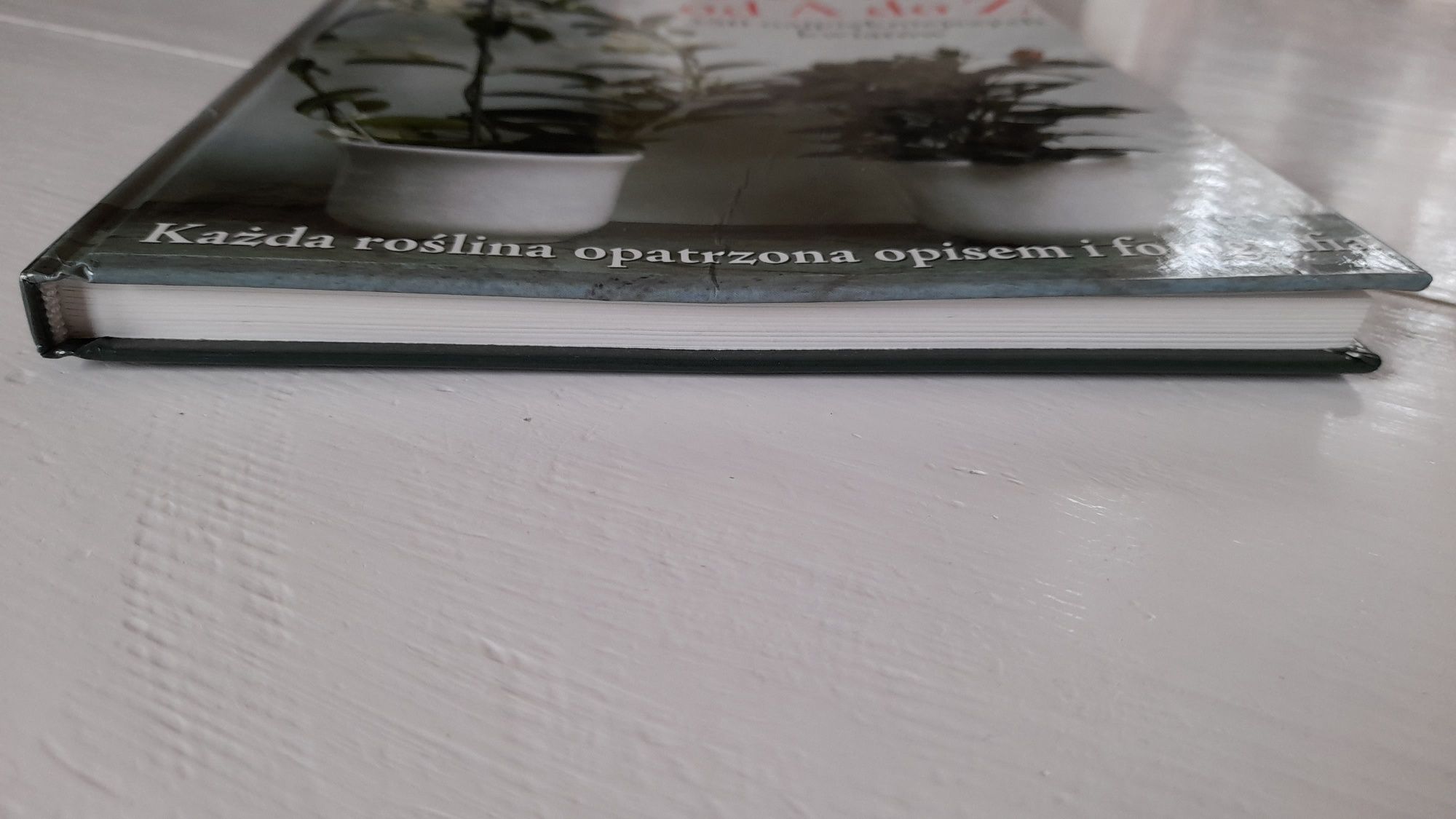 Rośliny pokojowe od A do Z, Gabriele Vocke
