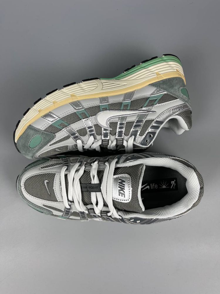 Кросівки Nike P-6000