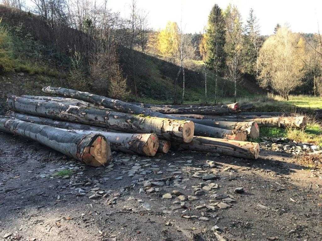 Buk opałowy rąbany kominek piec