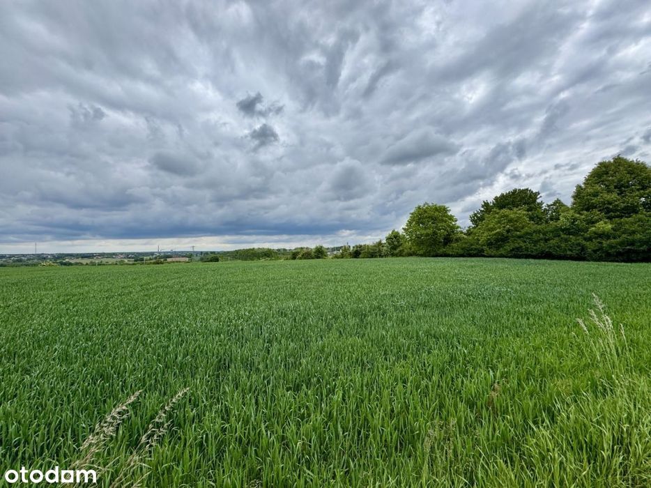 Spokój, przestrzeń i brak sąsiadów!