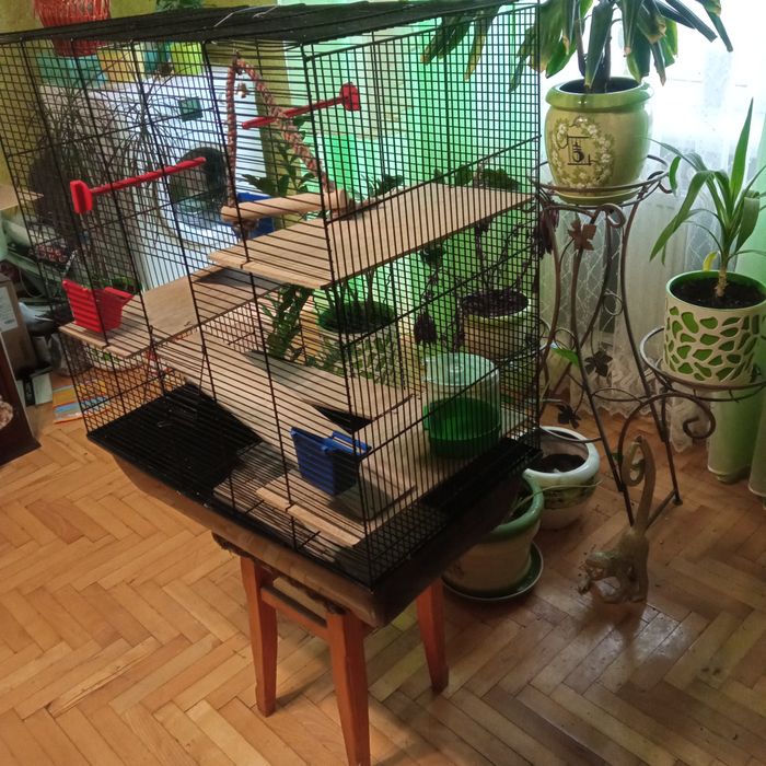 Клітка для папугая