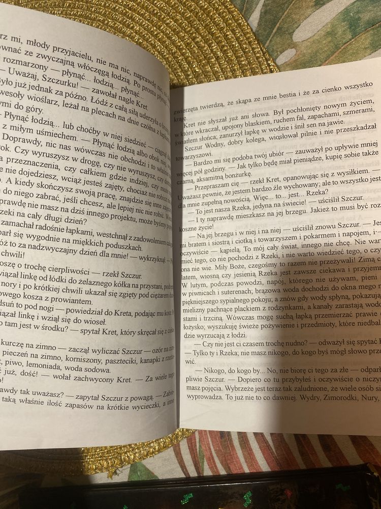 ksiazka dla dzieci o czym szumią wierzby
