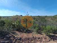 Terreno Rustico Com 8.280 M2 - Próximo Do Magoito Em Odeleite - Cas...