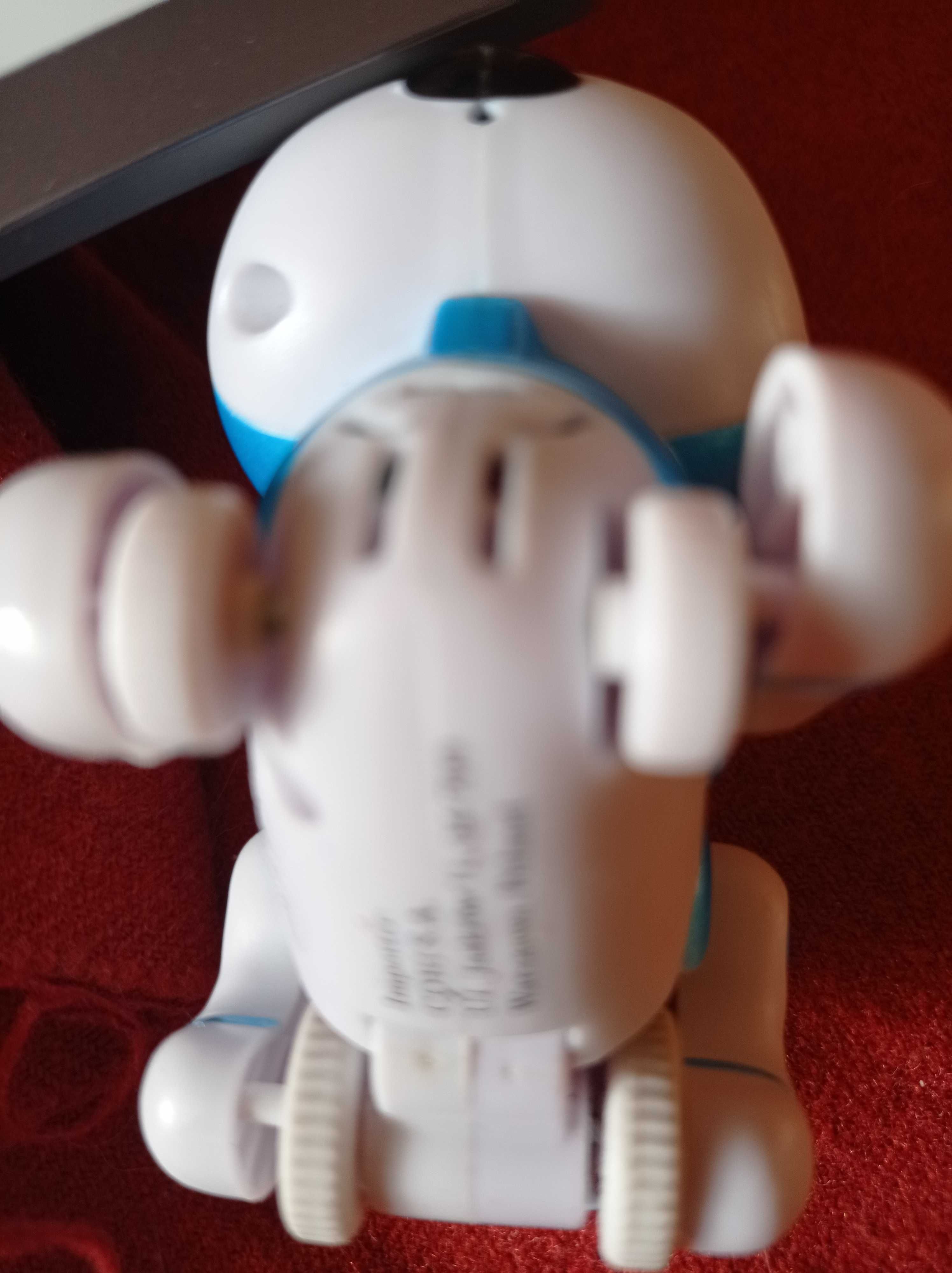 Robot piesek Teksta