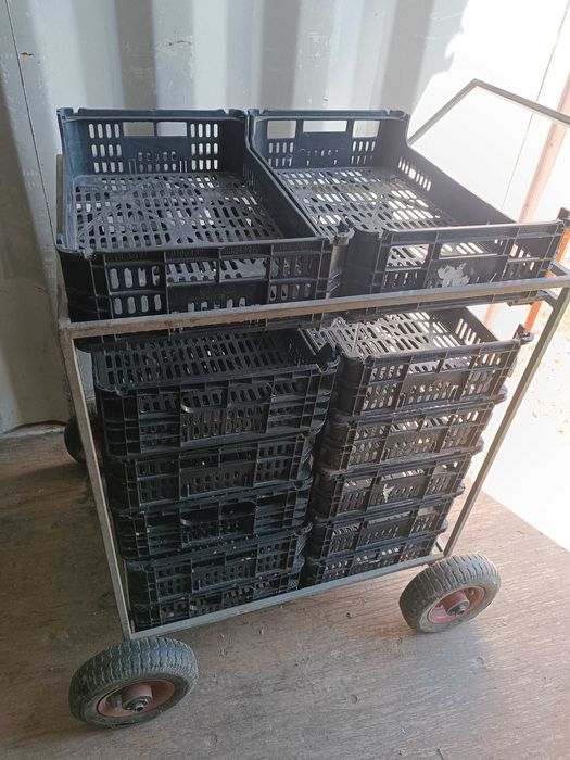 Carros de colheita para pequenos frutos