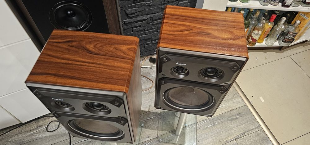 Kokumny monitory HECO PPS 30 Piękne!