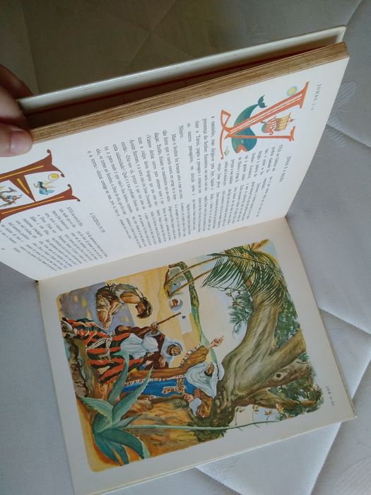 Grande Bíblia Ilustrada Antigo Testamento Verbo Juvenil