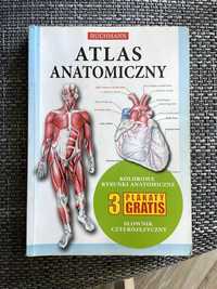 Atlas anatomiczny Buchmann