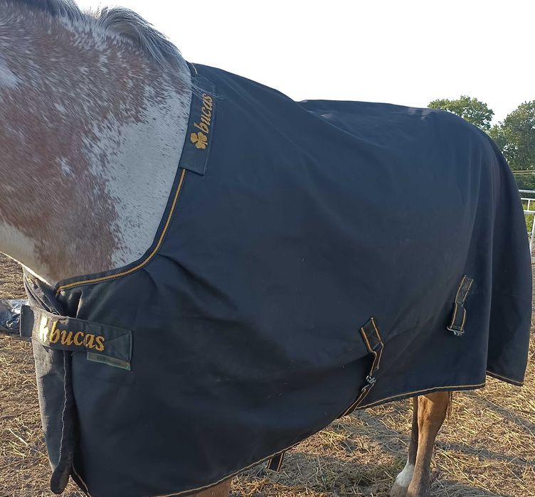 derka padokowa bucas 150g  145 cm