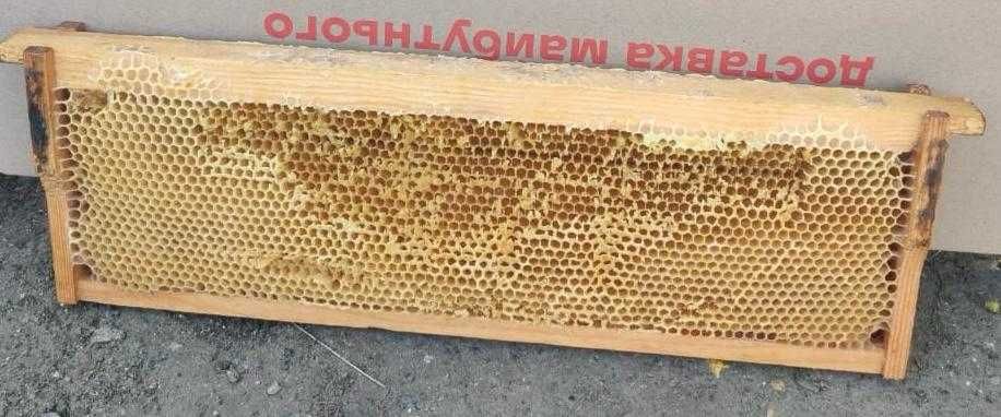 Продам 145 суш та навощені рамки!