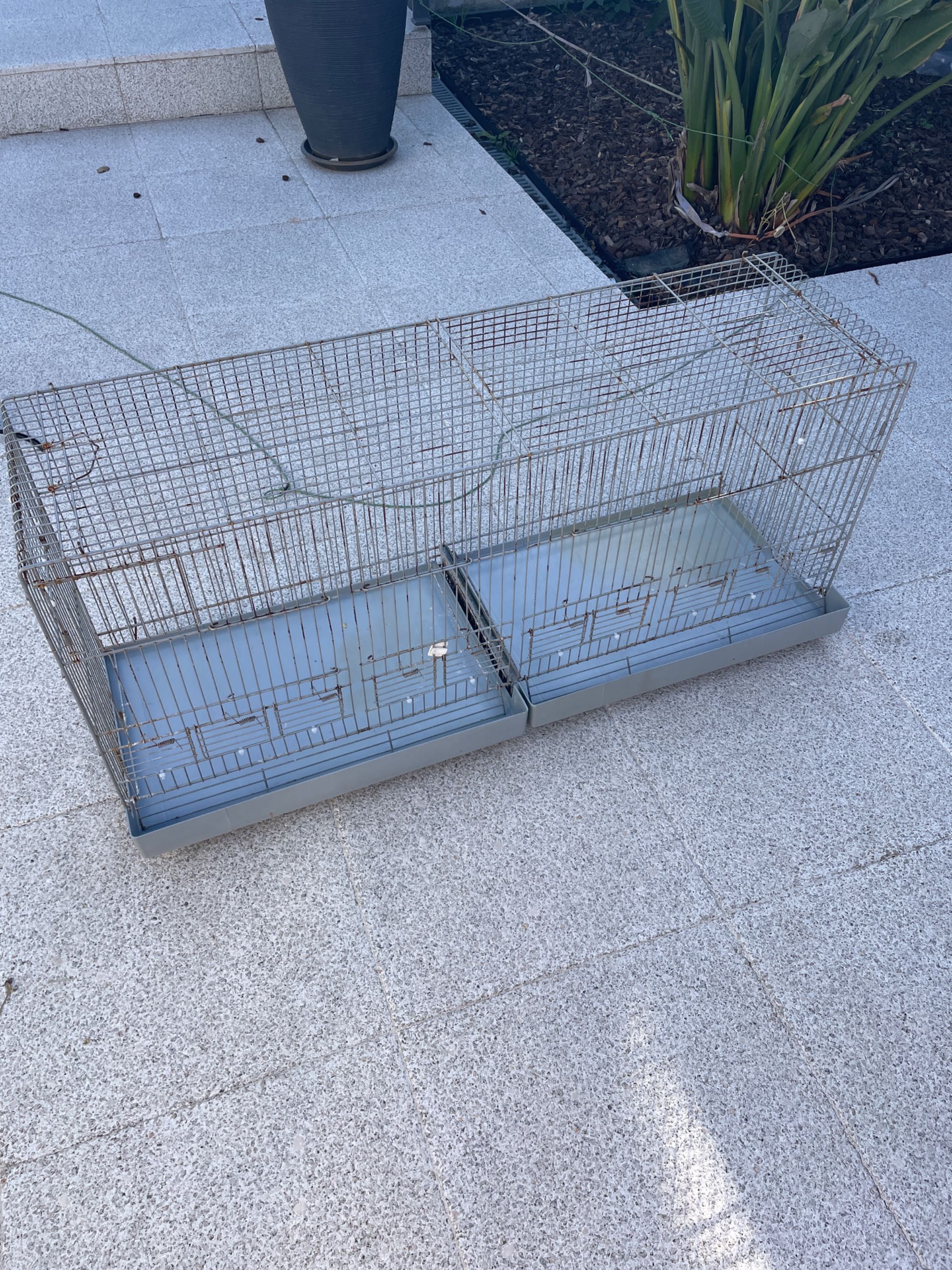 Gaiola de criação de aves de pequeno porte