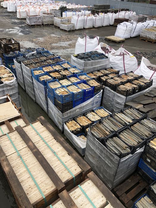 Болгарський сланець,Натуральний камінь,Облицовка,Соломка,Плитка,Дикий