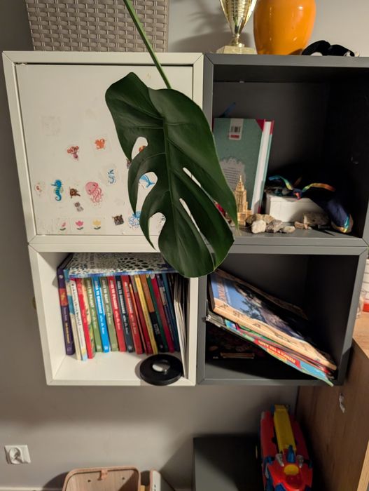 Sprzedam wiszące półki