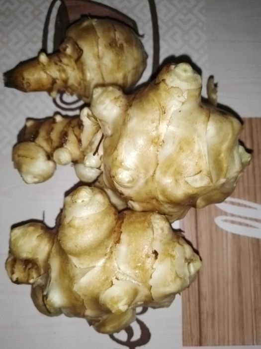 Топінамбур сушений