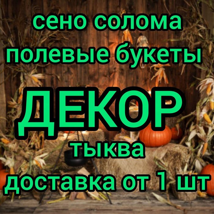 ДЕКОР, сіно в тюках для декора, сено суданки и др с доставкой от 1шт