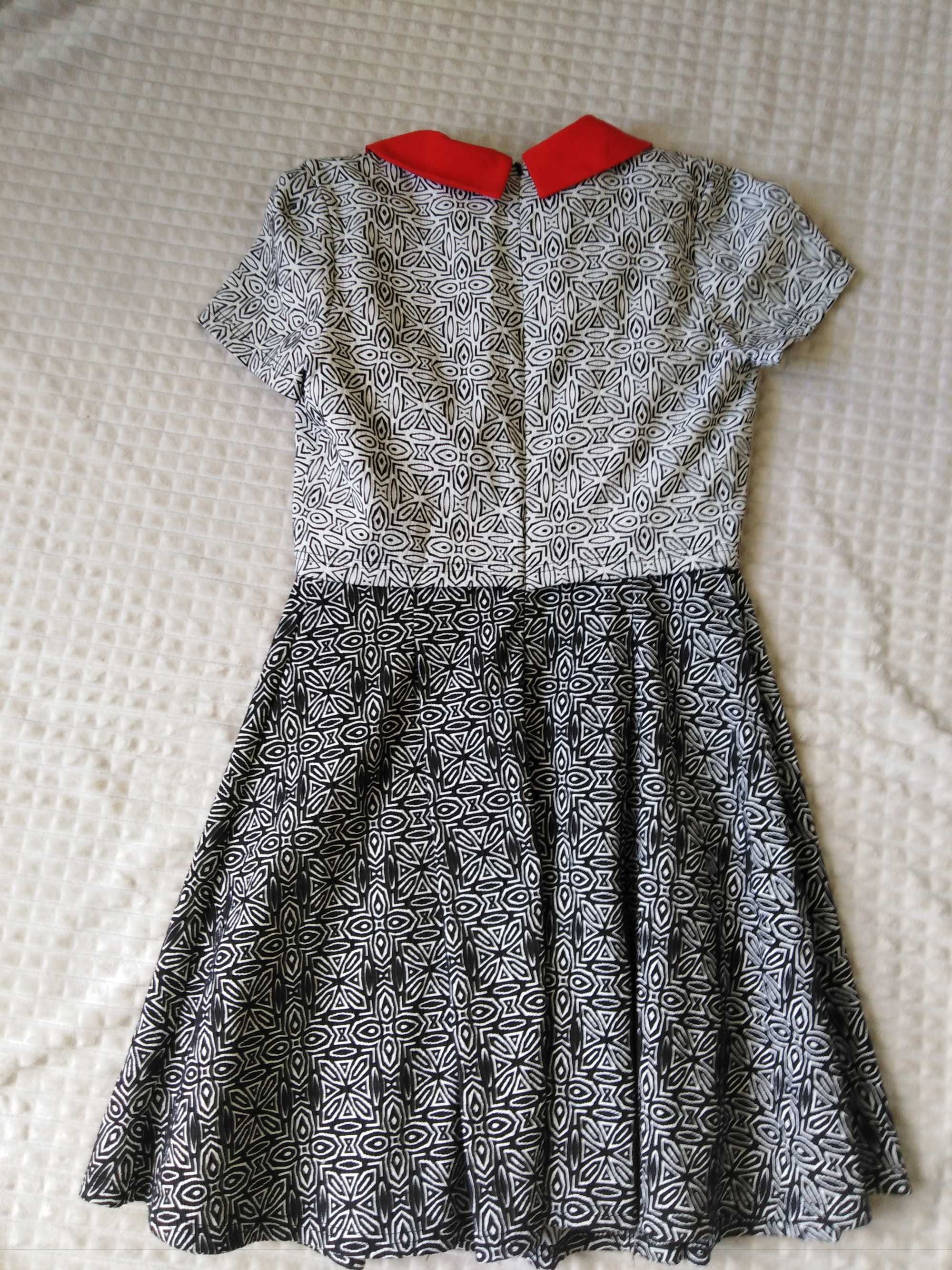 sukienka, elegancka, pensjonarka, MONSOON, kolnierzyk