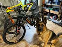 eBike KTM Macina Prowler prestige