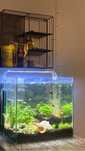 Akwarium 50l z akcesoriami