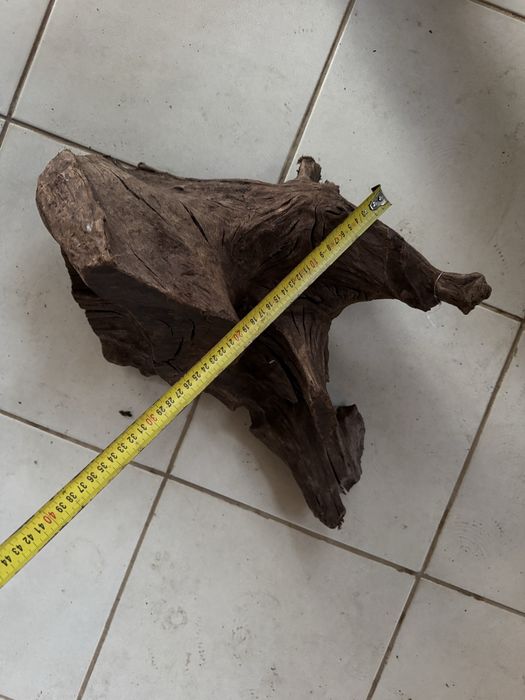 Filtro UV, tronco e material de aquario