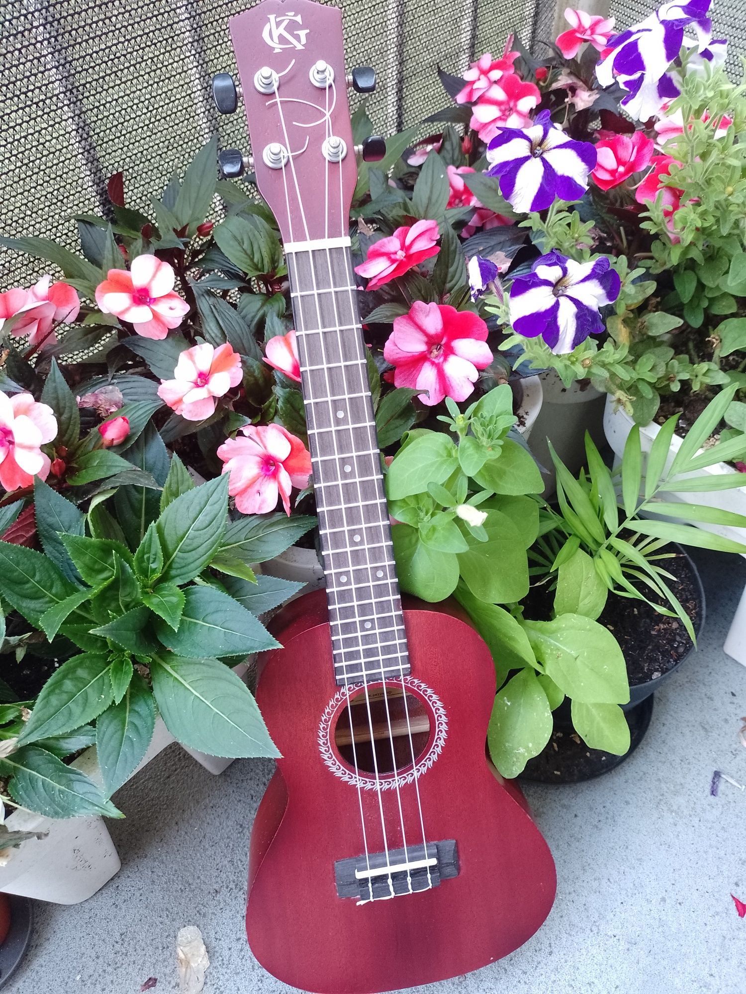 Sprzedam ukulele + etui