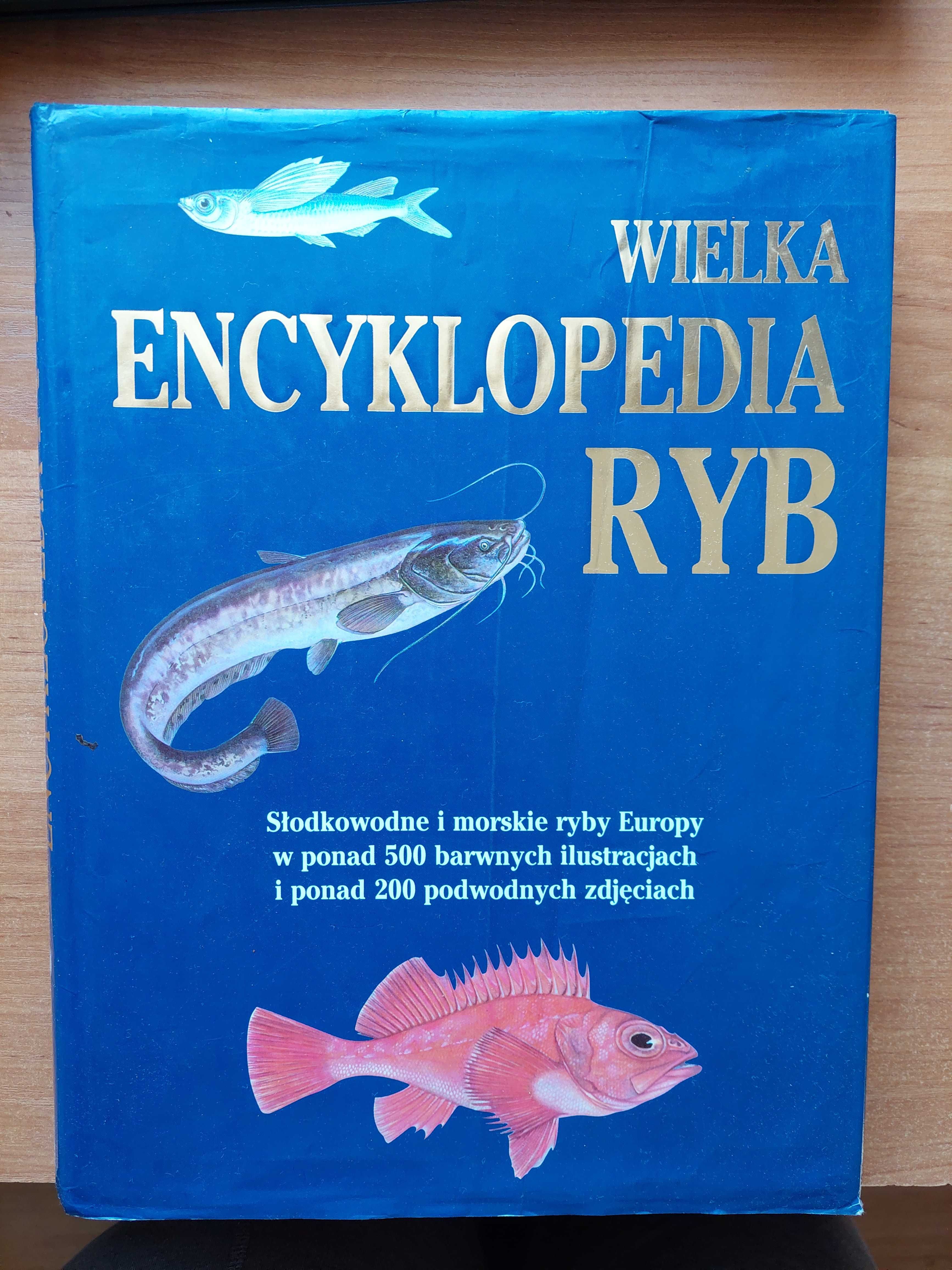 Wielka encyklopedia ryb. Słodkowodne i morskie ryby Europy - album