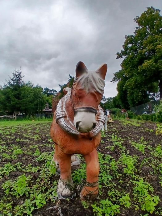 Konik ogrodowy duży