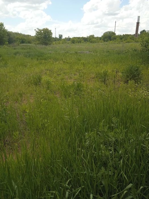 Земельна ділянка Покотилівка