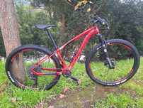 Btt 29 carbono s gx 12x1v com new race