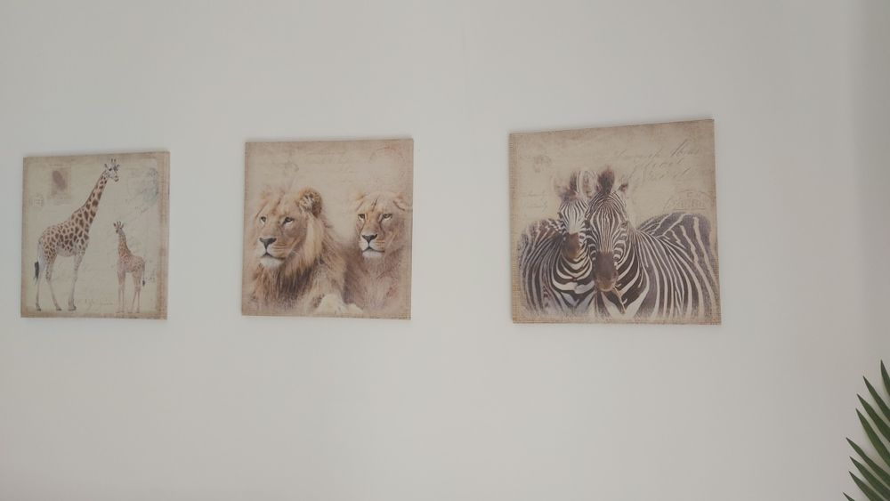 Três quadros animais