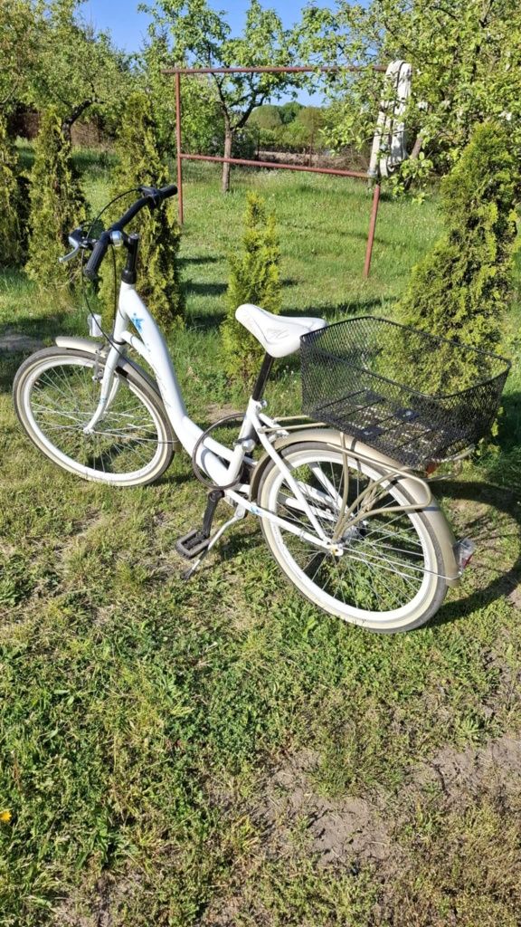 Rower vittoria 24