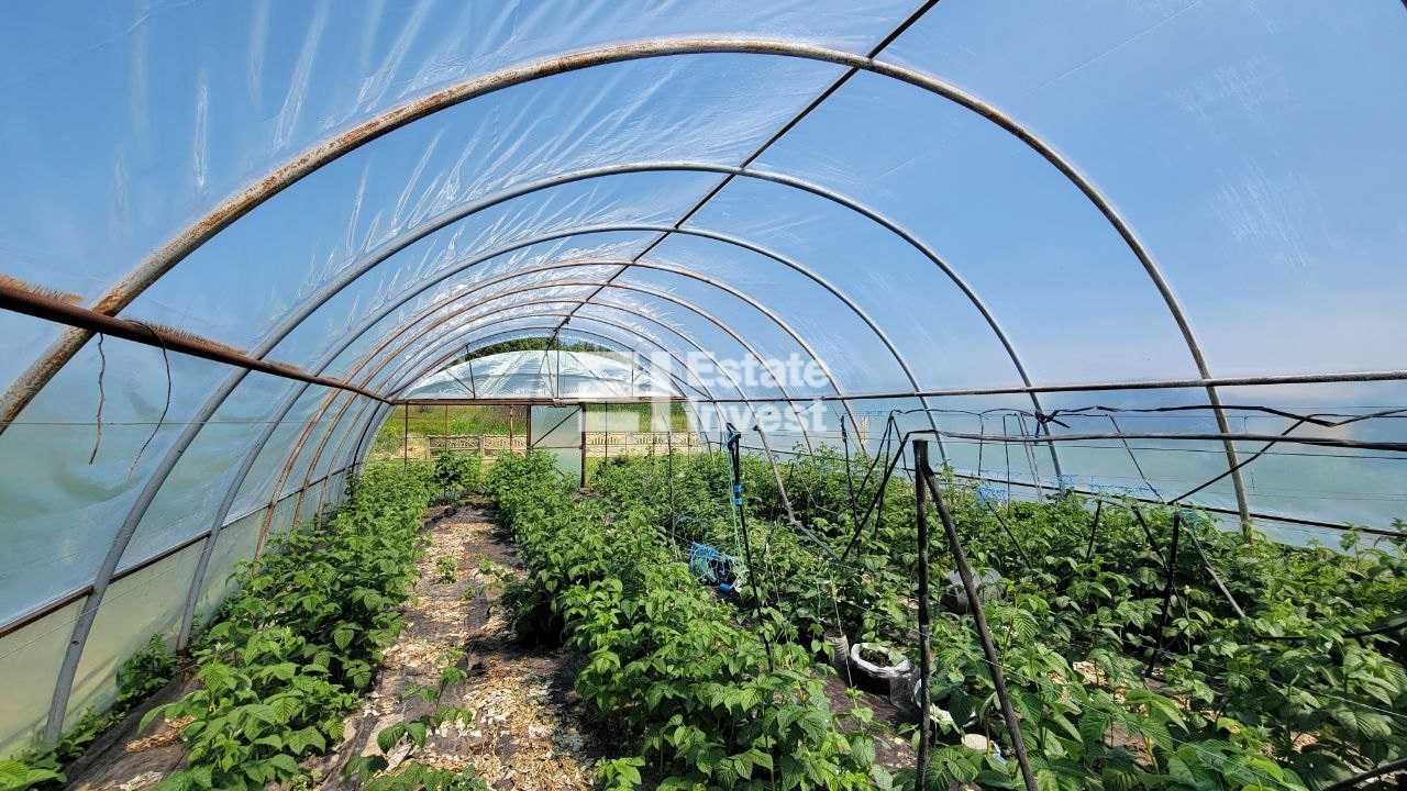 Продам будинок у с. Тернова