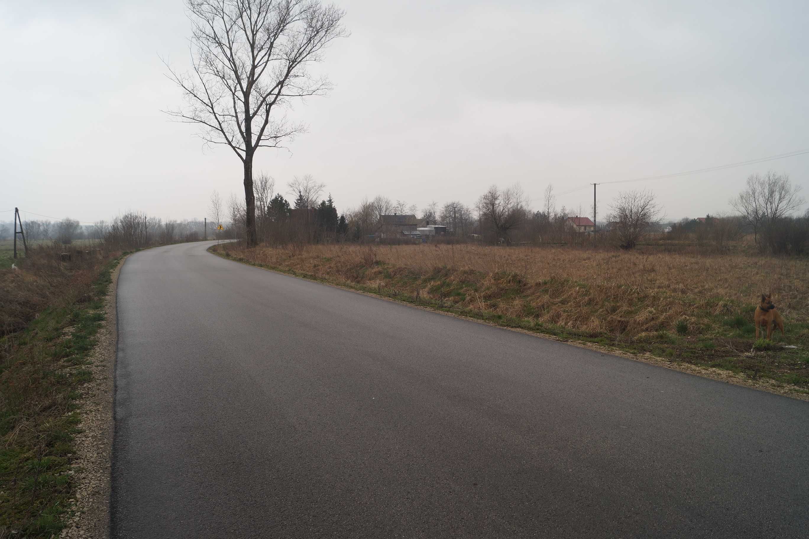 Działka 995m2 z WZ na DOM Bejsce Gmina blisko Kazimierza Wielka
