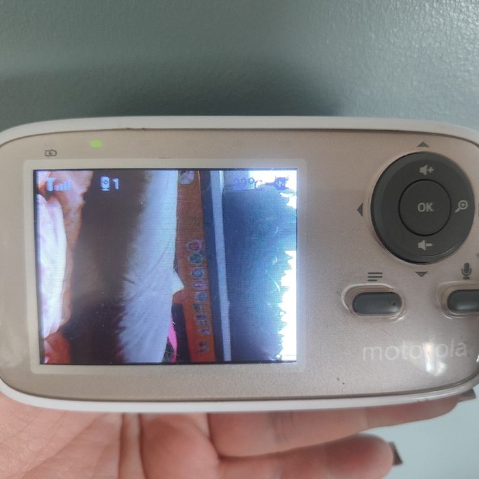 Niania elektroniczna Motorola