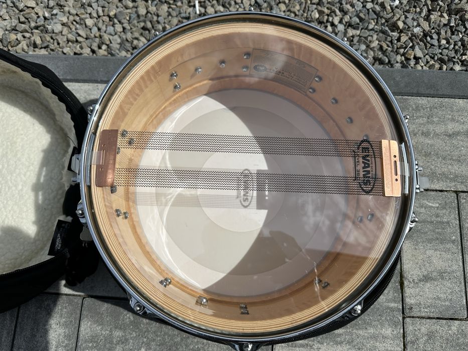 Werbel Dw Collectors Maple 14”x6”