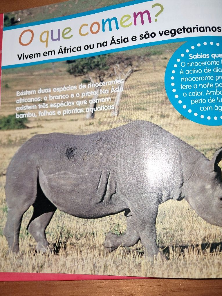 Livros infantis educativos