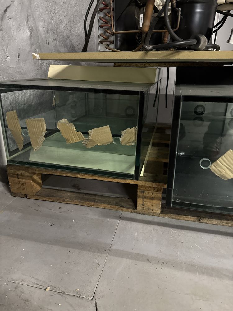 Vitrines de frio