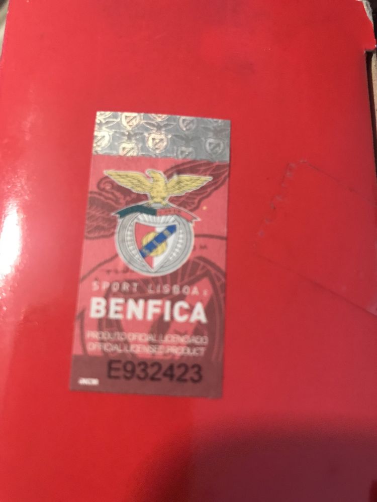 Autocarro do benfica com caixa novo