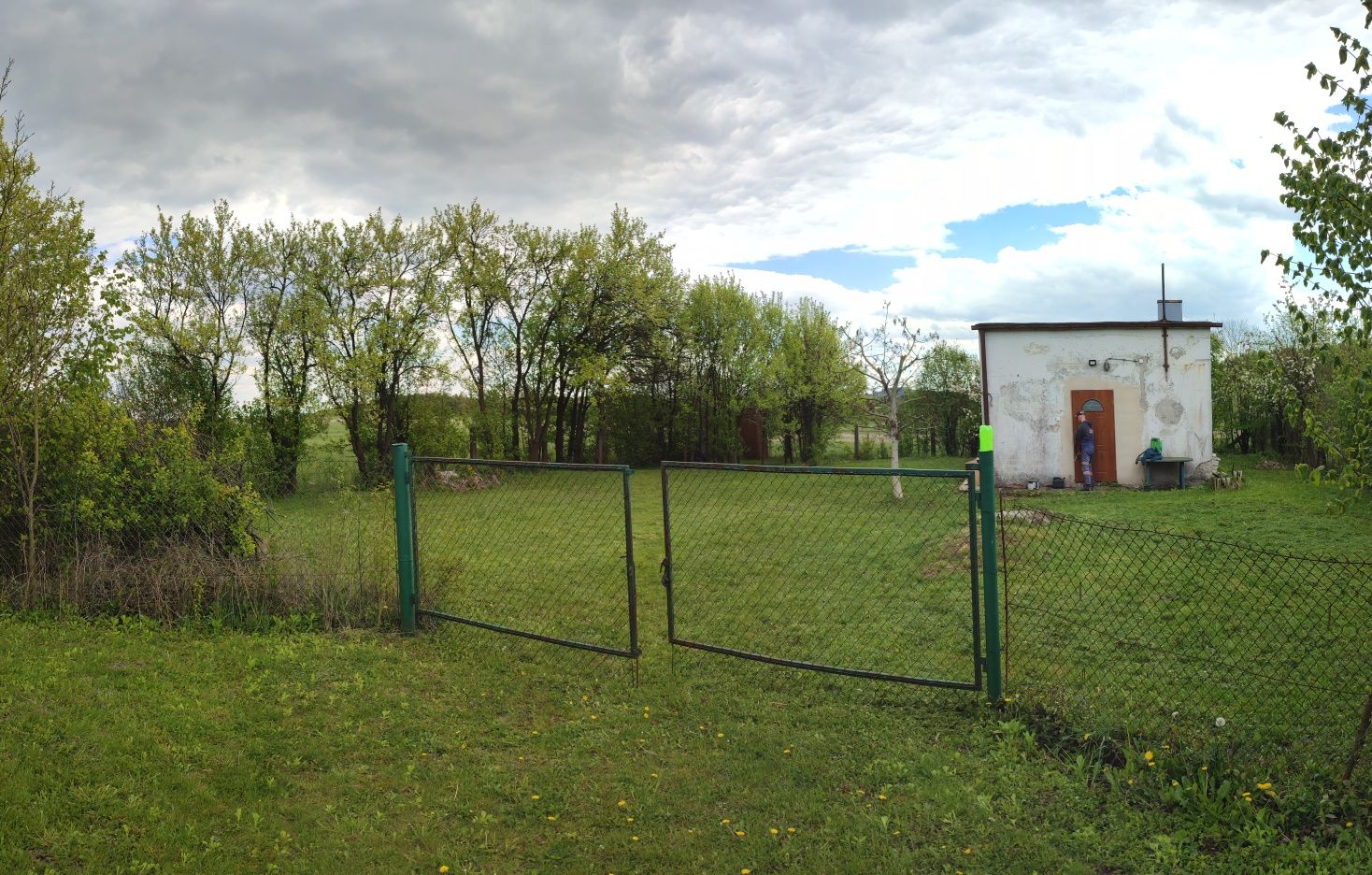 Działka Gruszczyn