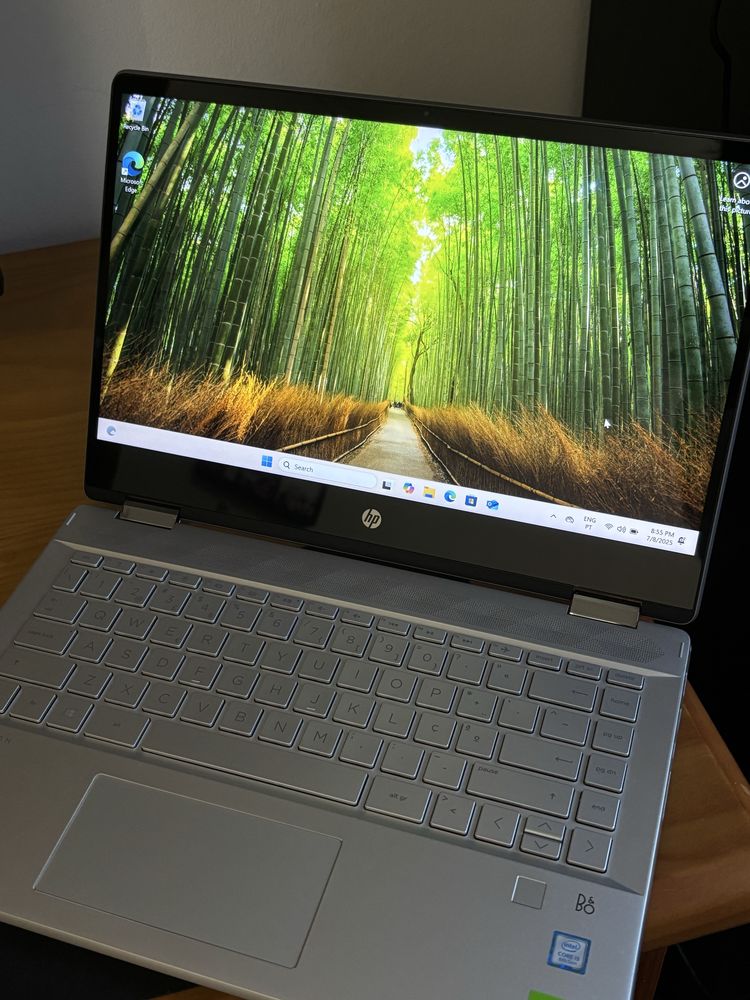 HP Pavilion x360 touch i5 8265U nvidia mx130