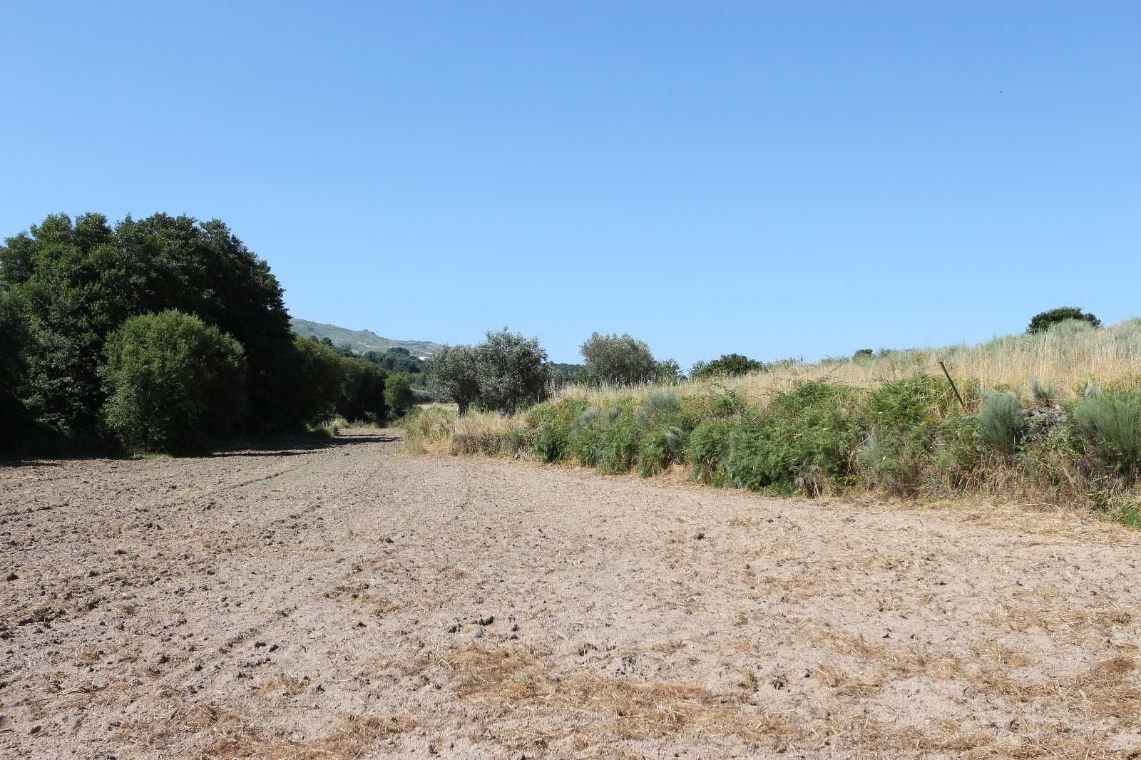 Quintinha com 13.400m² à venda na Serra da Estrela (30.000€)