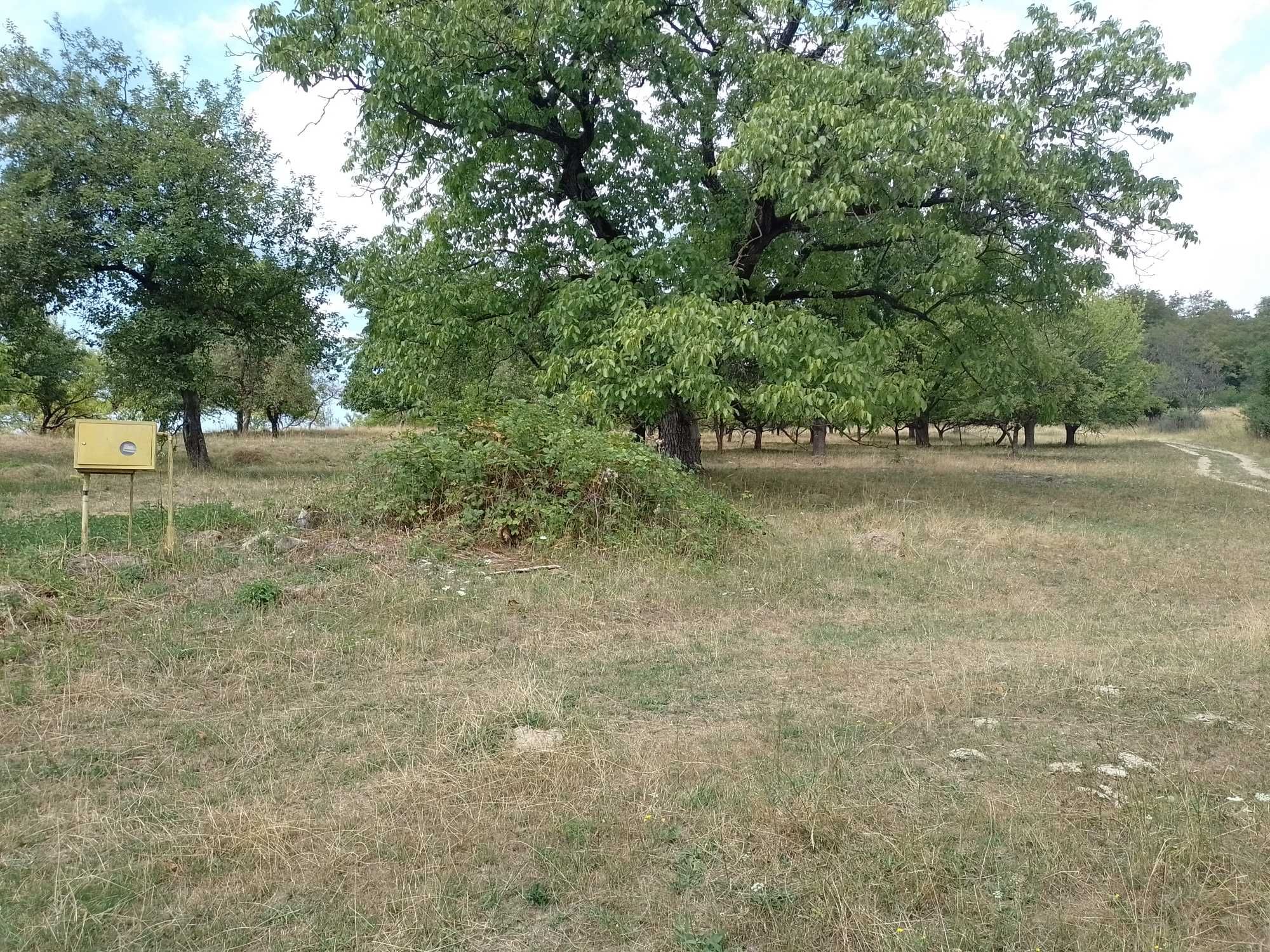 Будинок в Бедевлі приселок (Дубрівка)