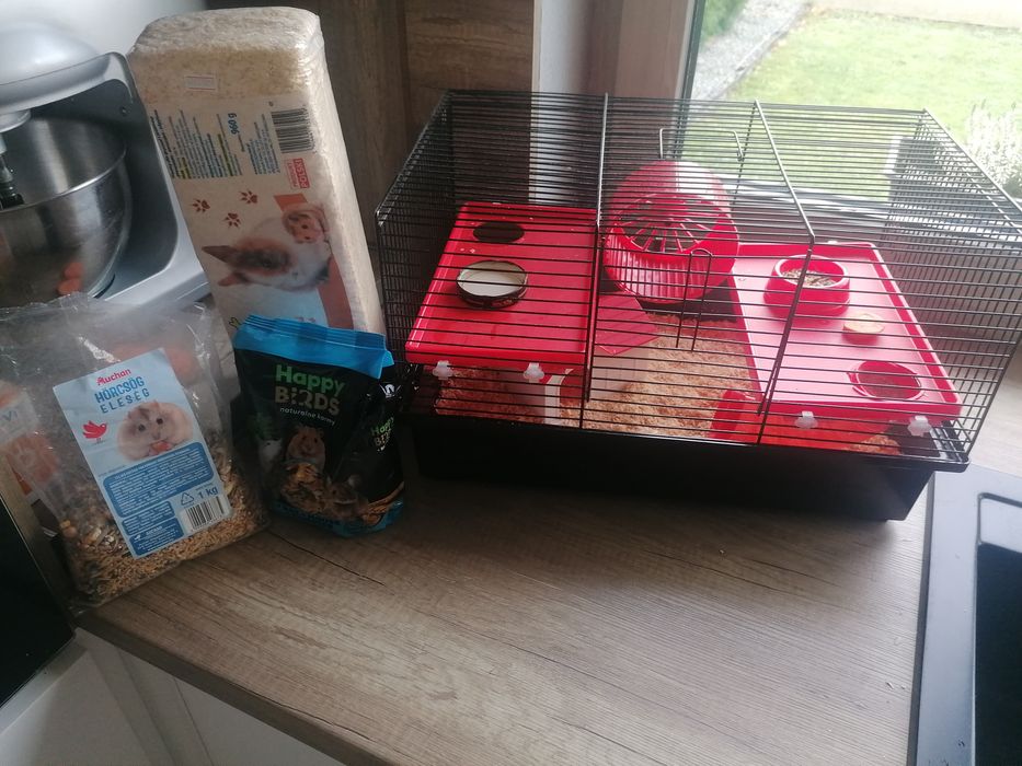 Chomik z klatka i jedzeniem