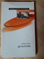 Zdążyć przed pierwszą gwiazdką K. Grochola