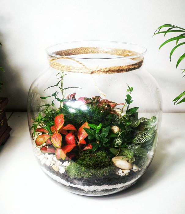 LAS W SŁOIKU - Ogród w szkle -Święta-Idealny na prezent