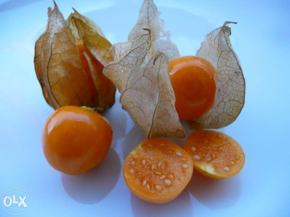 Framboesas amarelas e vermelhas, physalis, amoreiras