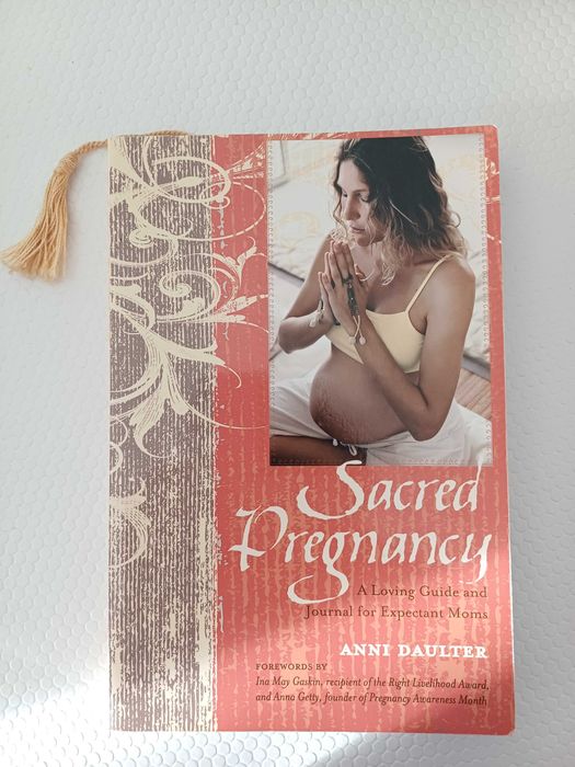 Livro Sacred Pregnancy