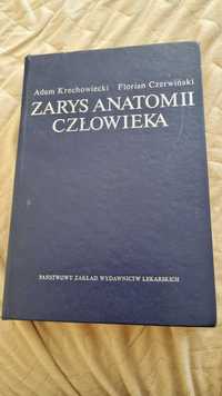 Zarys anatomii człowieka A. Krechowiecki, F. Czerwiński