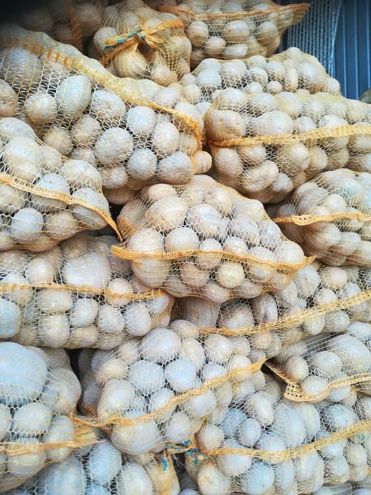 ziemniaki jadalne i paszowe, odpadowe dla zwierząt z dostawą