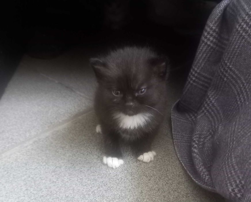 Безкоштовно!  Корзина  щастя!