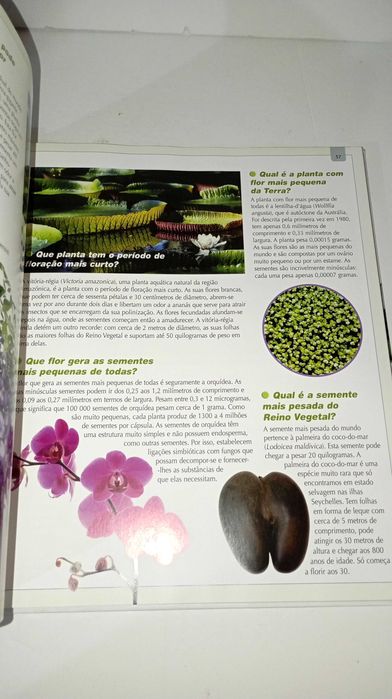 O Grande livro dos 555 recordes